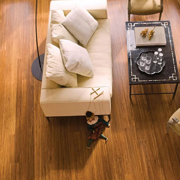 Living Rooms | Teragren Bamboo Flooring