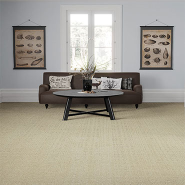Family Room/Dens | Phenix Carpet 