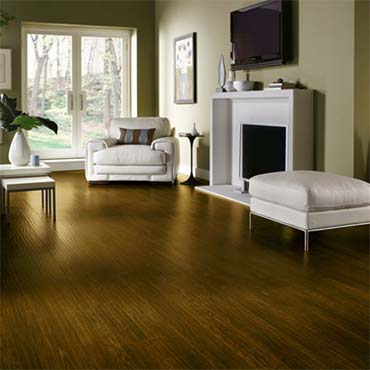 Living Rooms | Armstrong Laminate Flooring