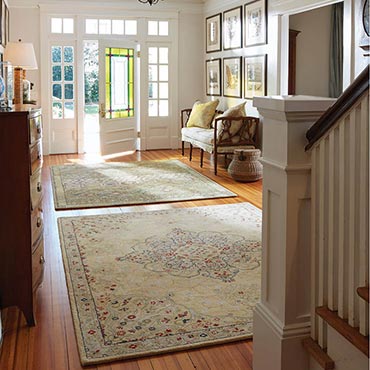 Foyers/Entry | Capel Rugs
