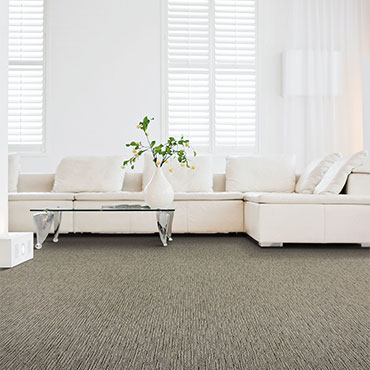Family Room/Dens | Karastan® Carpet