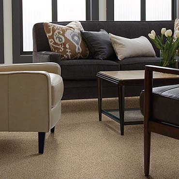 Family Room/Dens | Shaw Carpet