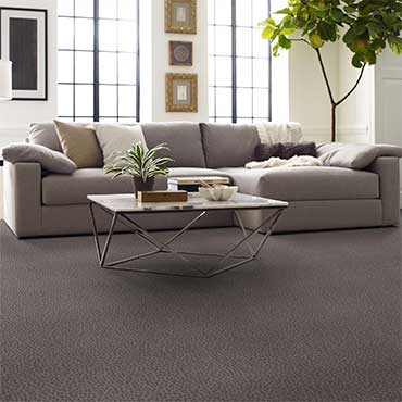 Living Rooms | Shaw Carpet