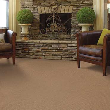 Family Room/Dens | Shaw Carpet