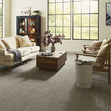 Family Room/Dens | Shaw Carpet