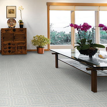 Couristan Carpet | Living Rooms