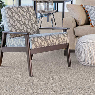 Dream Weaver Carpet  | Family Room/Dens - 6007