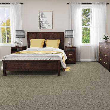 Dream Weaver Carpet  | Bedrooms - 6018