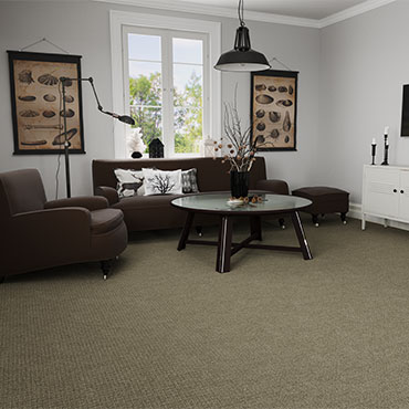 Dream Weaver Carpet  | Living Rooms - 6020
