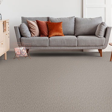 Dream Weaver Carpet  | Family Room/Dens - 6023