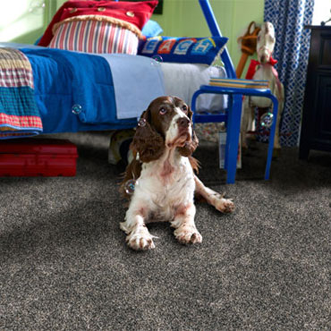 Phenix Carpet  | Kids Bedrooms - 5473