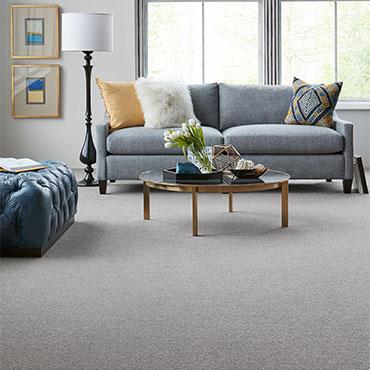 Karastan Carpet | Living Rooms - 6125