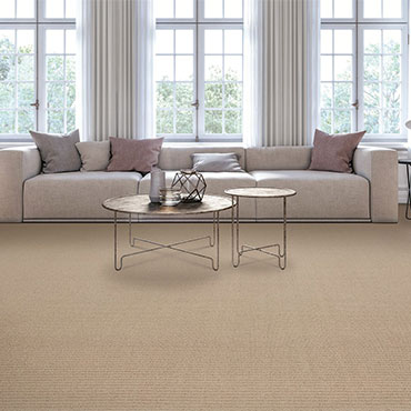 Karastan Carpet | Living Rooms - 6130
