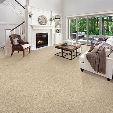 Karastan Carpet | Family Room/Dens - 6139