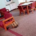 Educational Market Segment - Carpet