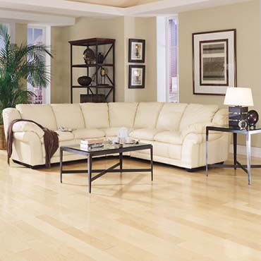 Wilson Maple - Natural Maple