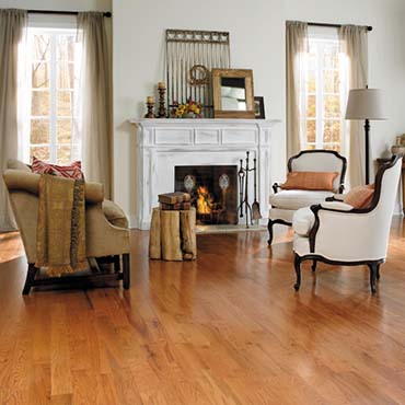 Congress Oak - Sunrise Oak