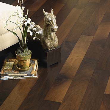American Walnut / Natural