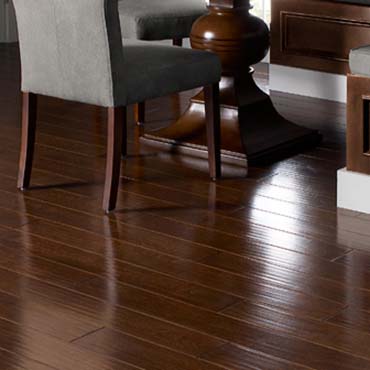 Ravenwood Birch / Auburn