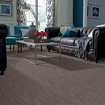 Anso® Nylon Carpet