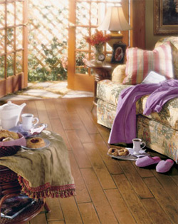 Piazza Rustic Wood Flooring Collection by Anderson EnCore Plus