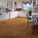 Shaw Laminate - Natural Accents