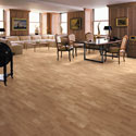 Click here for larger photo and more infomation about Shaw Laminate - Natural Accents