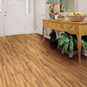 Shaw Laminate - Natural Treasures