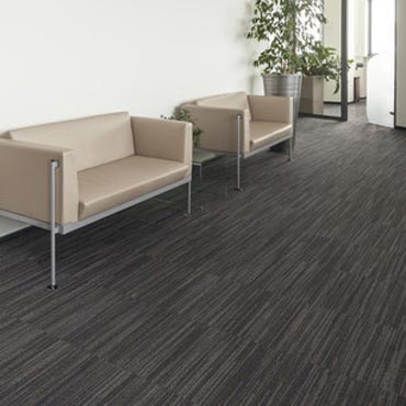 Fortune Contract Carpet