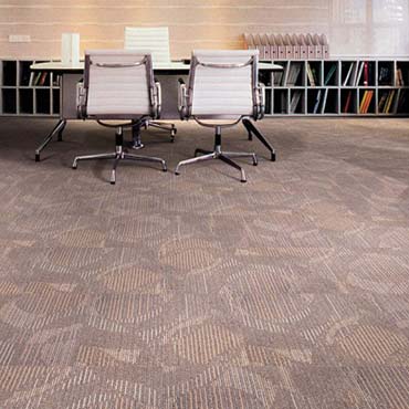 Barrett Carpet 