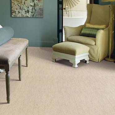 Shaw Cleartouch Carpet Vass Nc Retail S Dealers Near Zipcode 28394