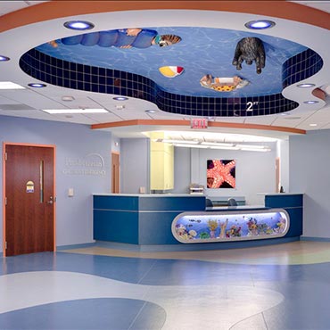 Peerless Lighting -