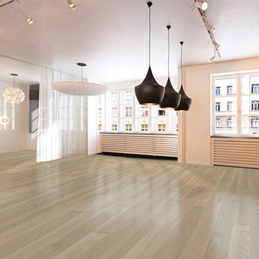Arte Mundi - Bauhaus Collection -