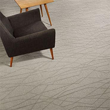Constantine Carpets
