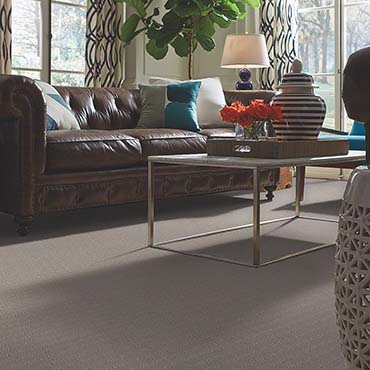 Shaw Cleartouch Carpet Millburn Nj Retail S Dealers Near Zipcode 07041