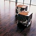 SylvaColor Umbra for the Hardwood Flooring