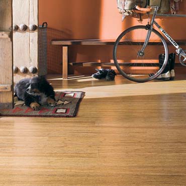 Teragren Bamboo Flooring