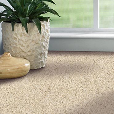 Shaw Carpet Bellera Collection